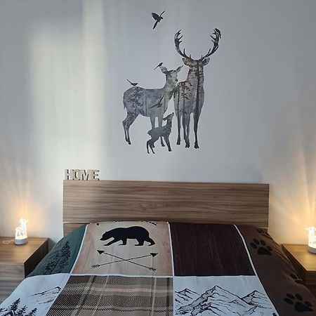 Happy Guest Apartments - Central Living Borno Esterno foto